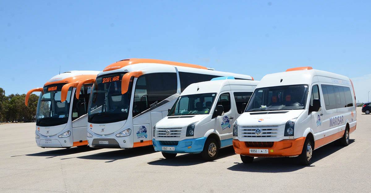 Bus